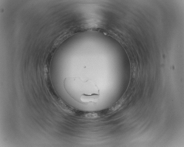X0000076050279200609220917