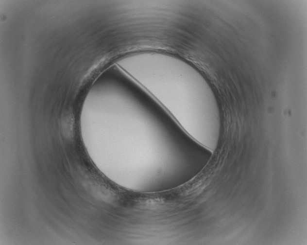 X0000076050304200609220916
