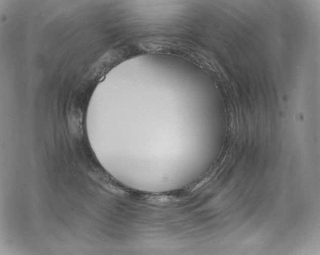 X0000076050332200609220916