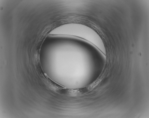 X0000076050333200609220916