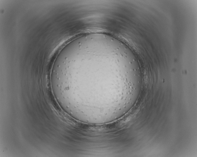 X0000076050351200609220915