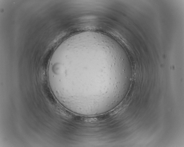 X0000076050355200609220915
