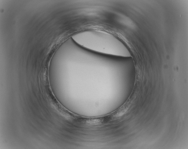 X0000076050357200609220915