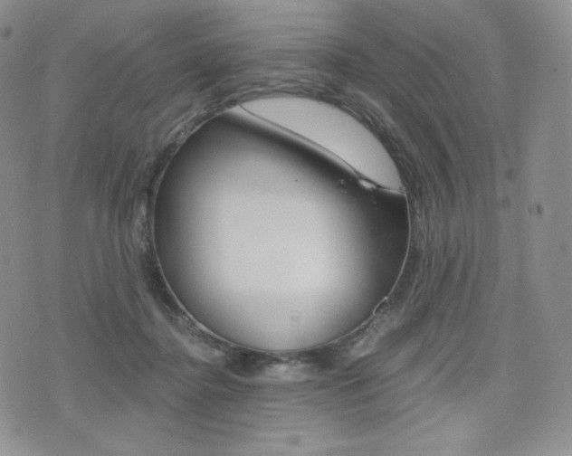 X0000076050364200609220915