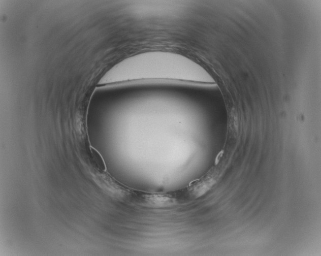 X0000076050380200609220916