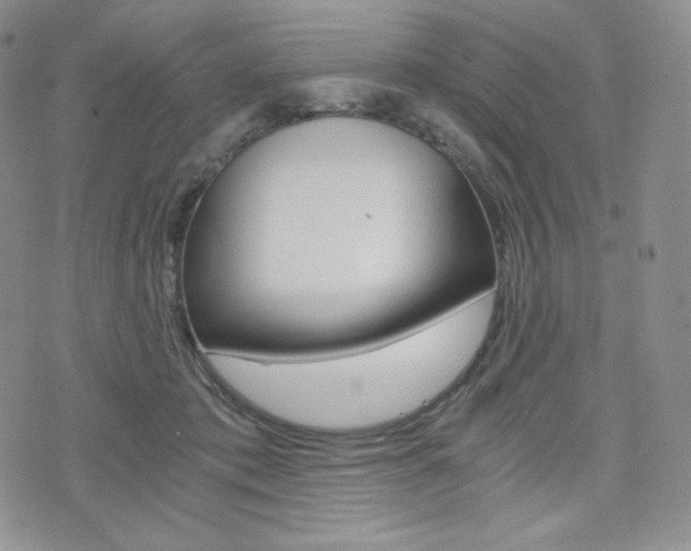 X0000076050413200609220914