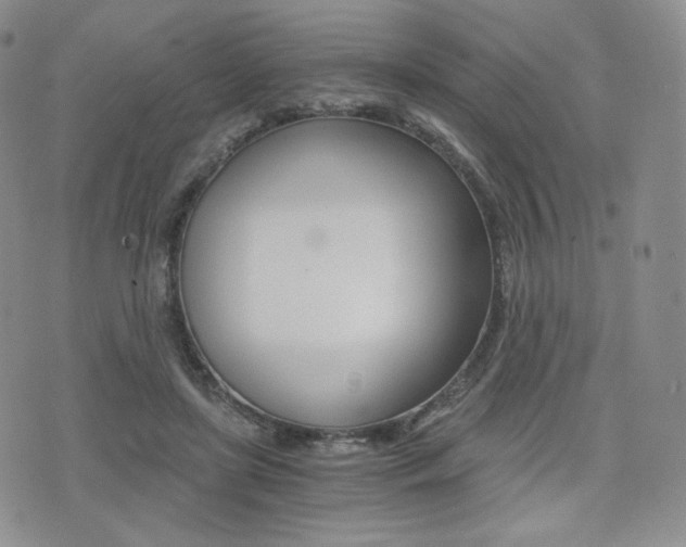 X0000076050451200609220914