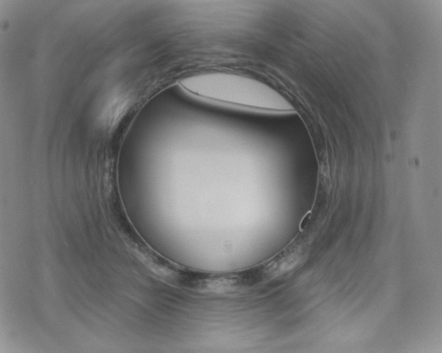 X0000076050462200609220914