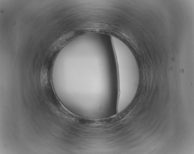 X0000076050504200609220913