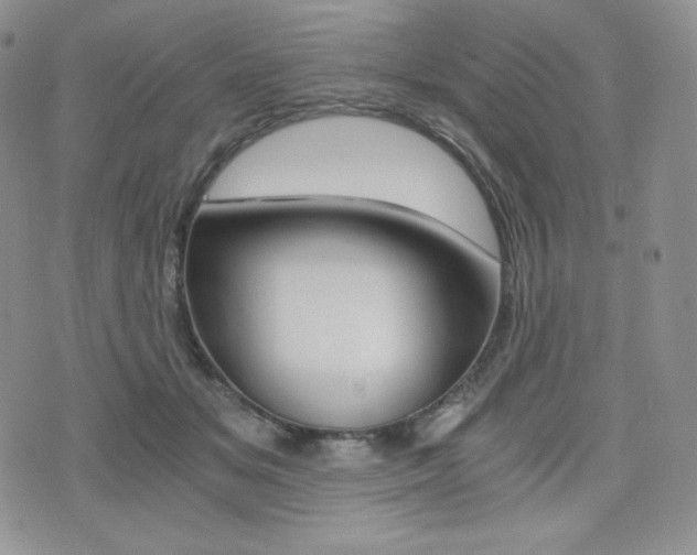X0000076050509200609220913