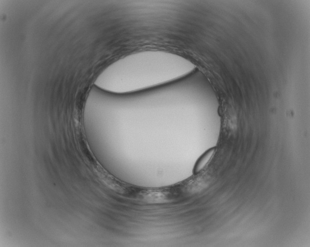 X0000076050518200609220913