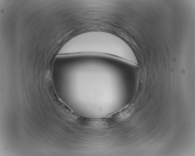 X0000076050521200609220913