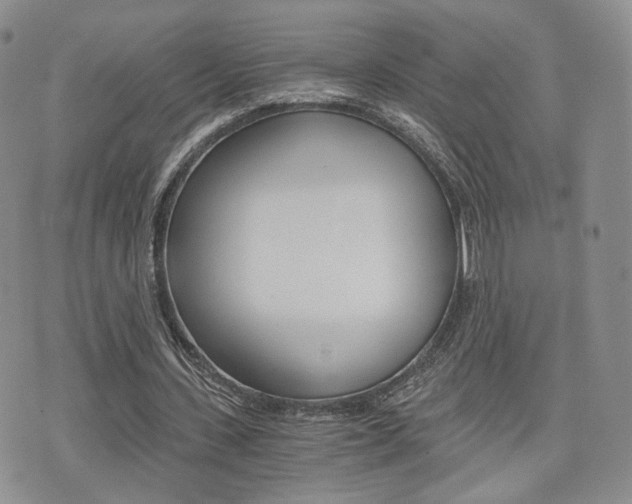 X0000076050531200609220912