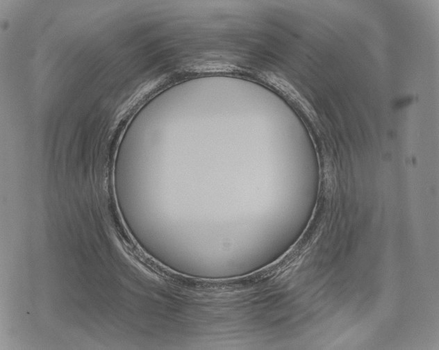 X0000076050533200609220912