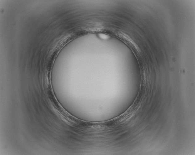 X0000076050541200609220912