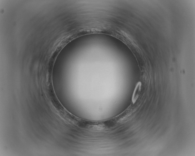 X0000076050548200609220912