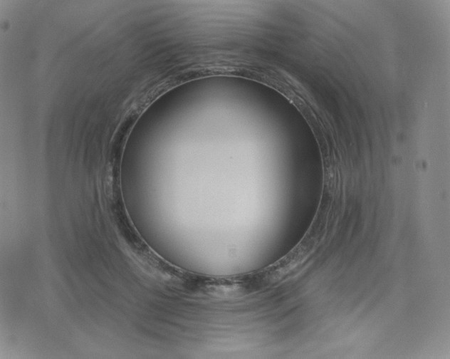 X0000076050552200609220912