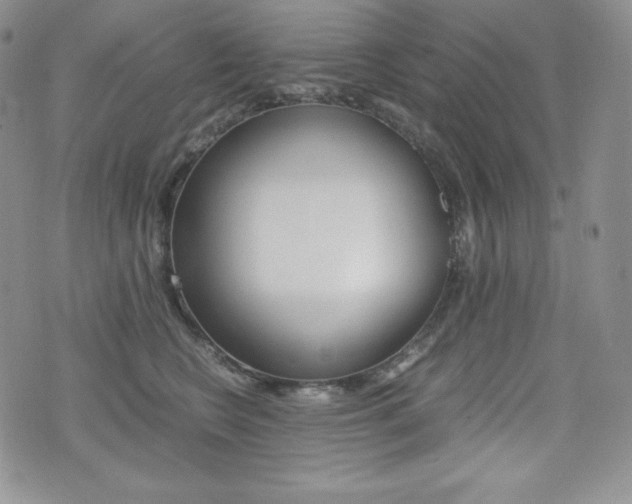X0000076050566200609220912
