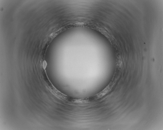 X0000076050568200609220912