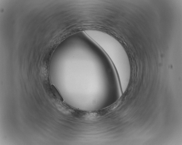 X0000076050609200609220911