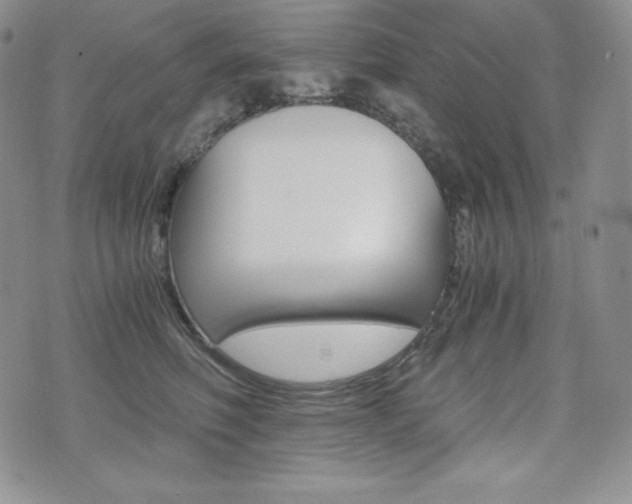 X0000076050614200609220911
