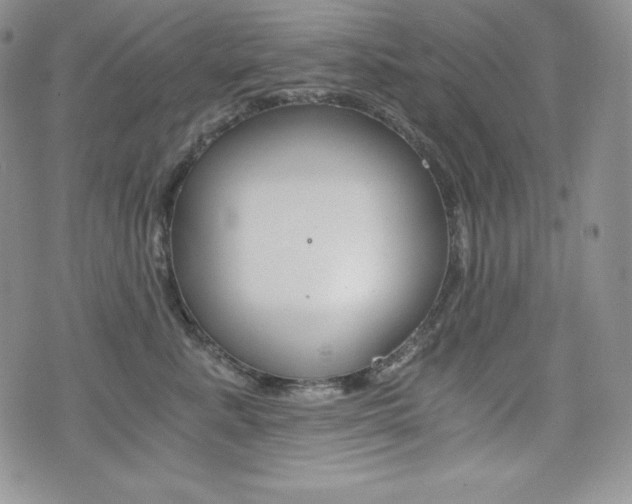 X0000076050619200609220911