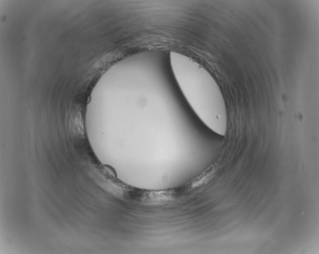X0000076050622200609220911