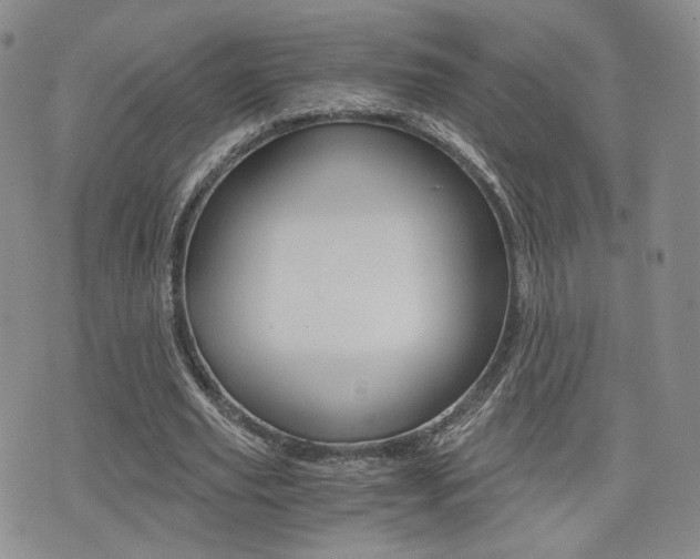 X0000076050629200609220910