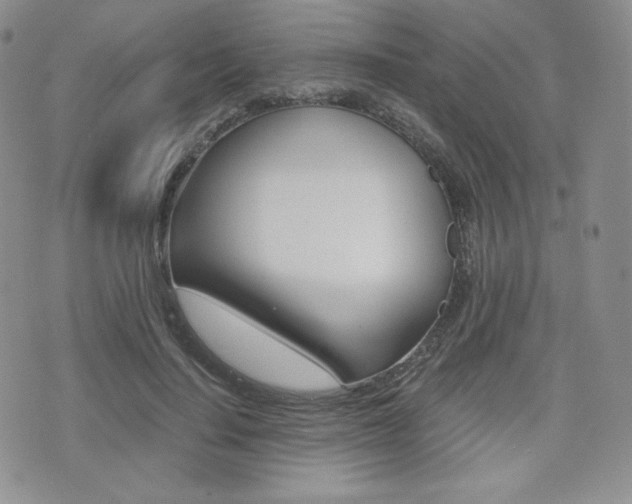 X0000076050644200609220911