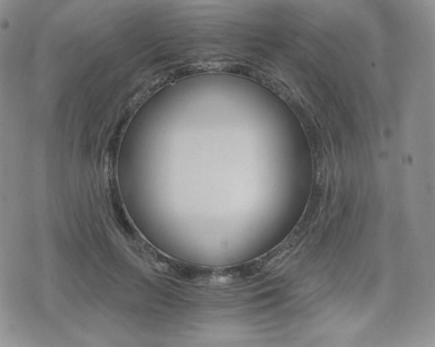 X0000076050647200609220911
