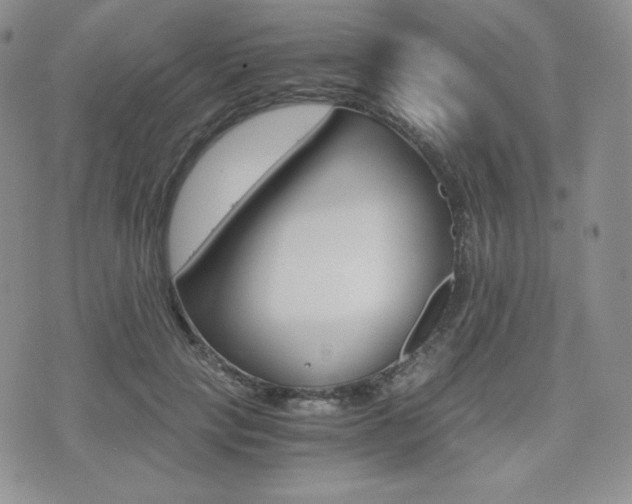 X0000076050649200609220911