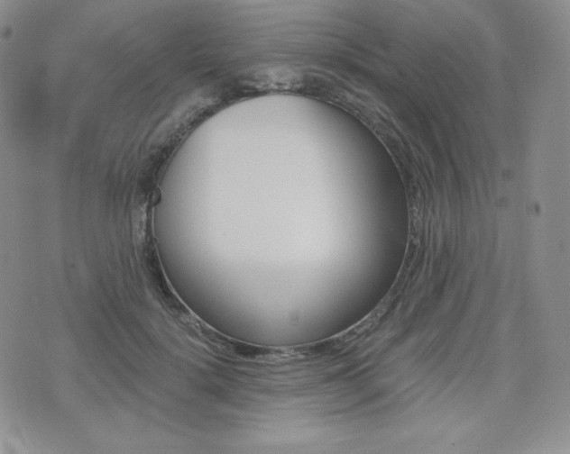 X0000076050652200609220911
