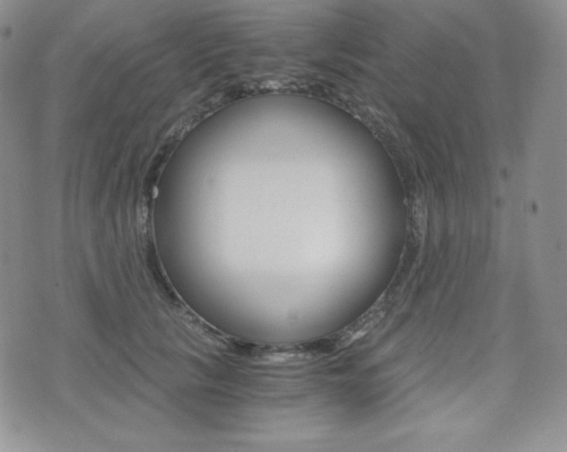 X0000076050657200609220911