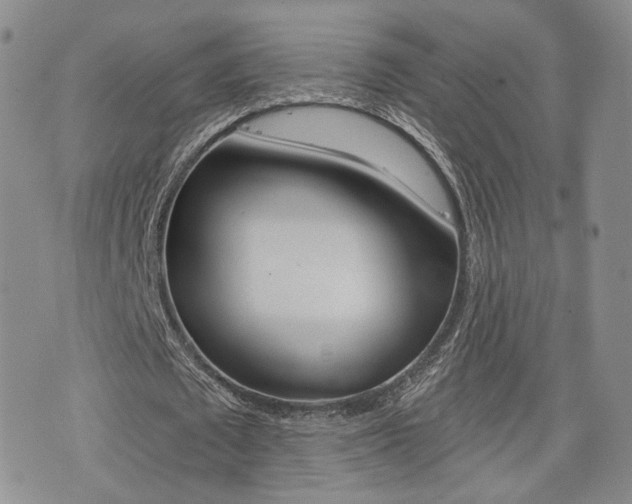 X0000076050673200609220910