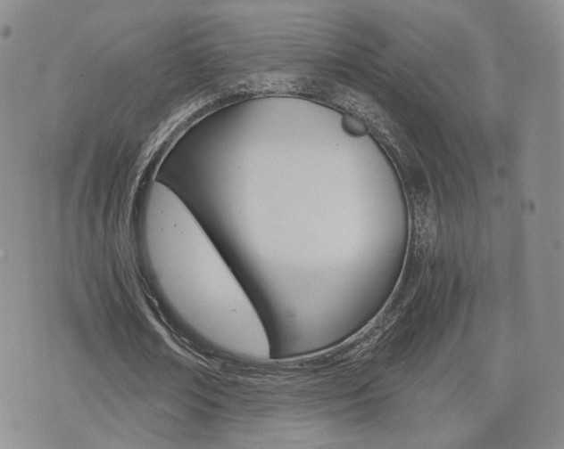 X0000076050674200609220910