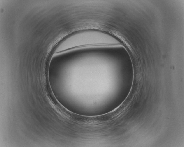 X0000076050677200609220910