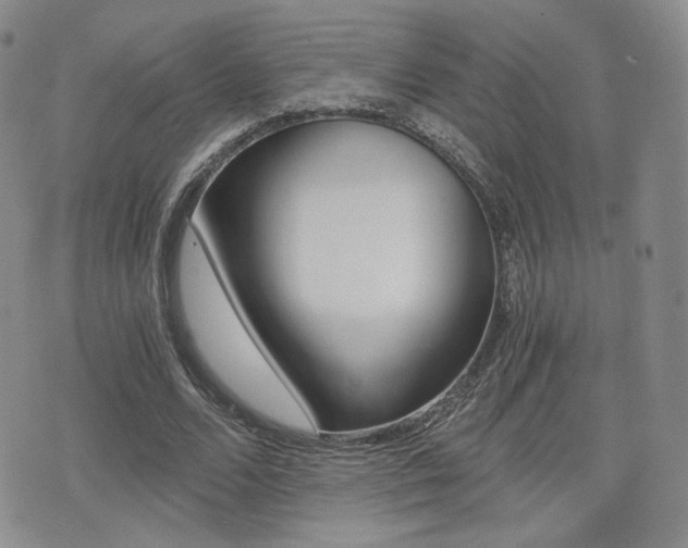 X0000076050680200609220910
