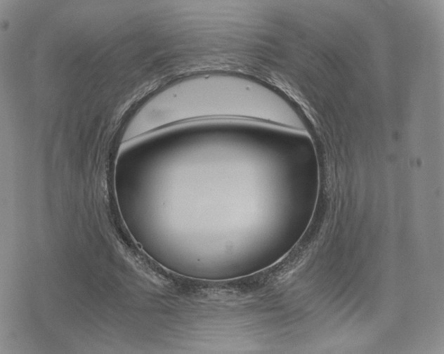 X0000076050681200609220910