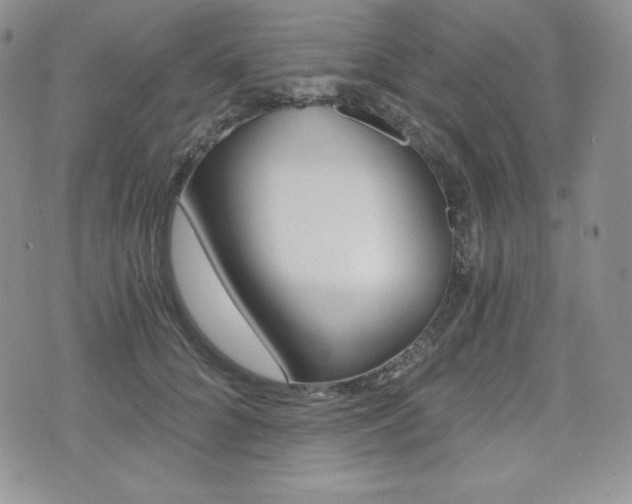 X0000076050704200609220910