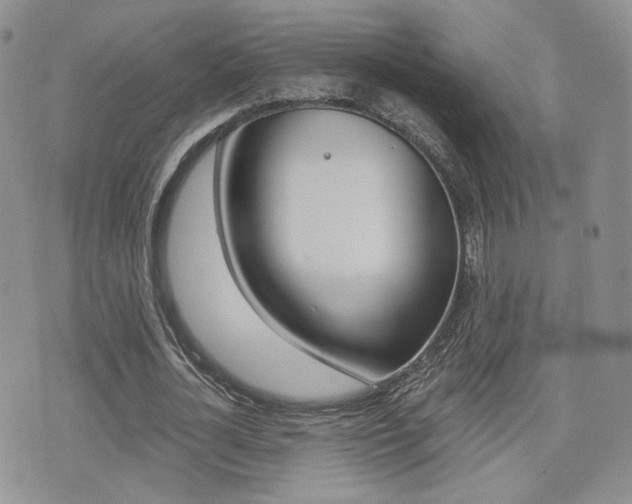 X0000076050724200609220909