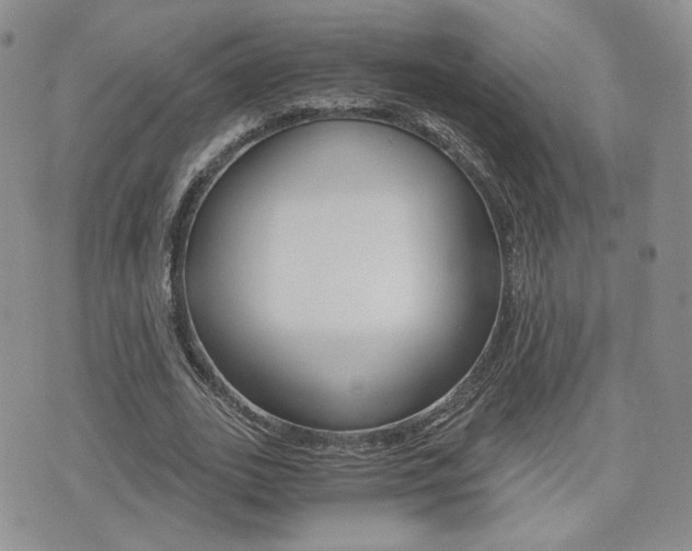 X0000076050727200609220909