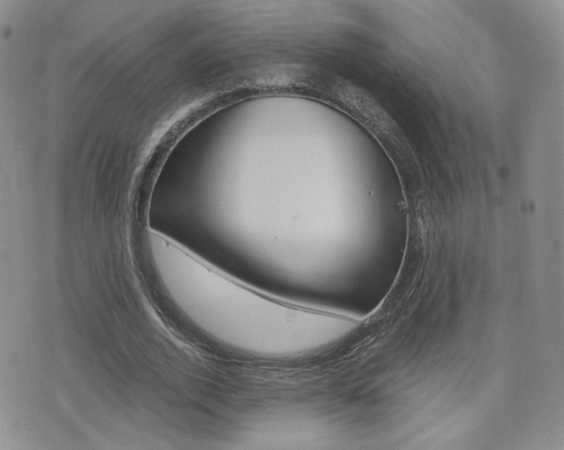 X0000076050728200609220909