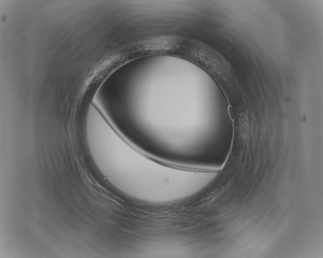 X0000076050731200609220909