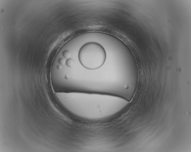 X0000076050734200609220909