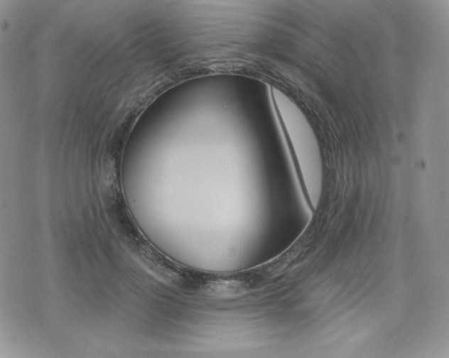 X0000076050748200609220909