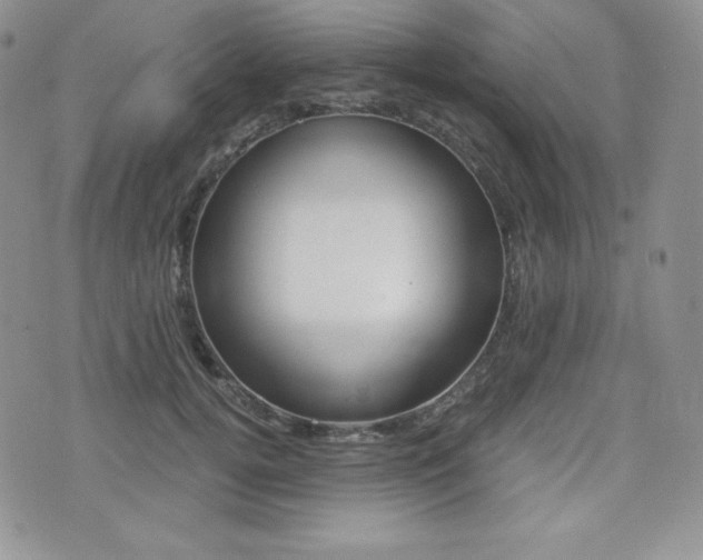 X0000076050752200609220909