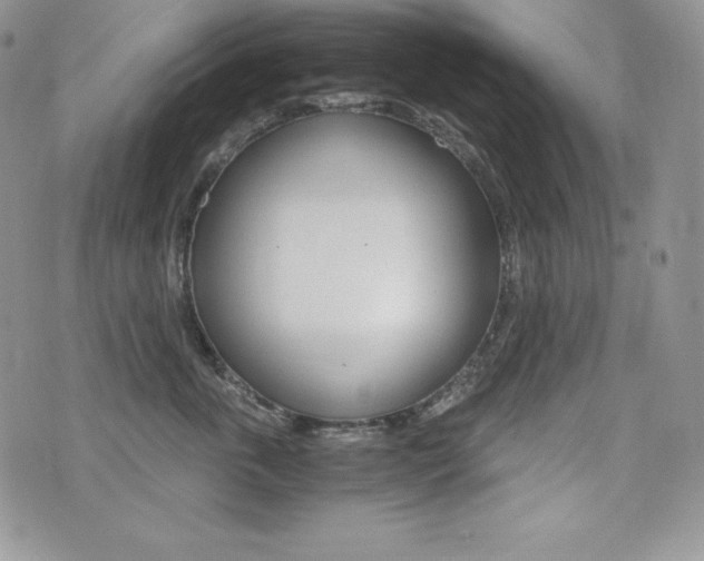 X0000076050763200609220909