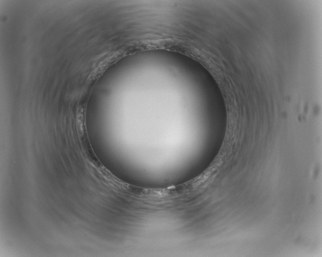 X0000076050768200609220909