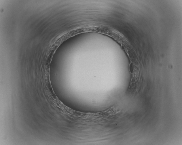 X0000076050773200609220909