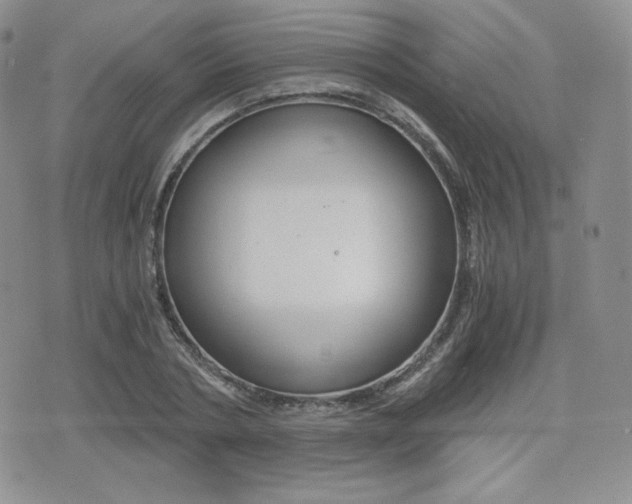 X0000076050786200609220908